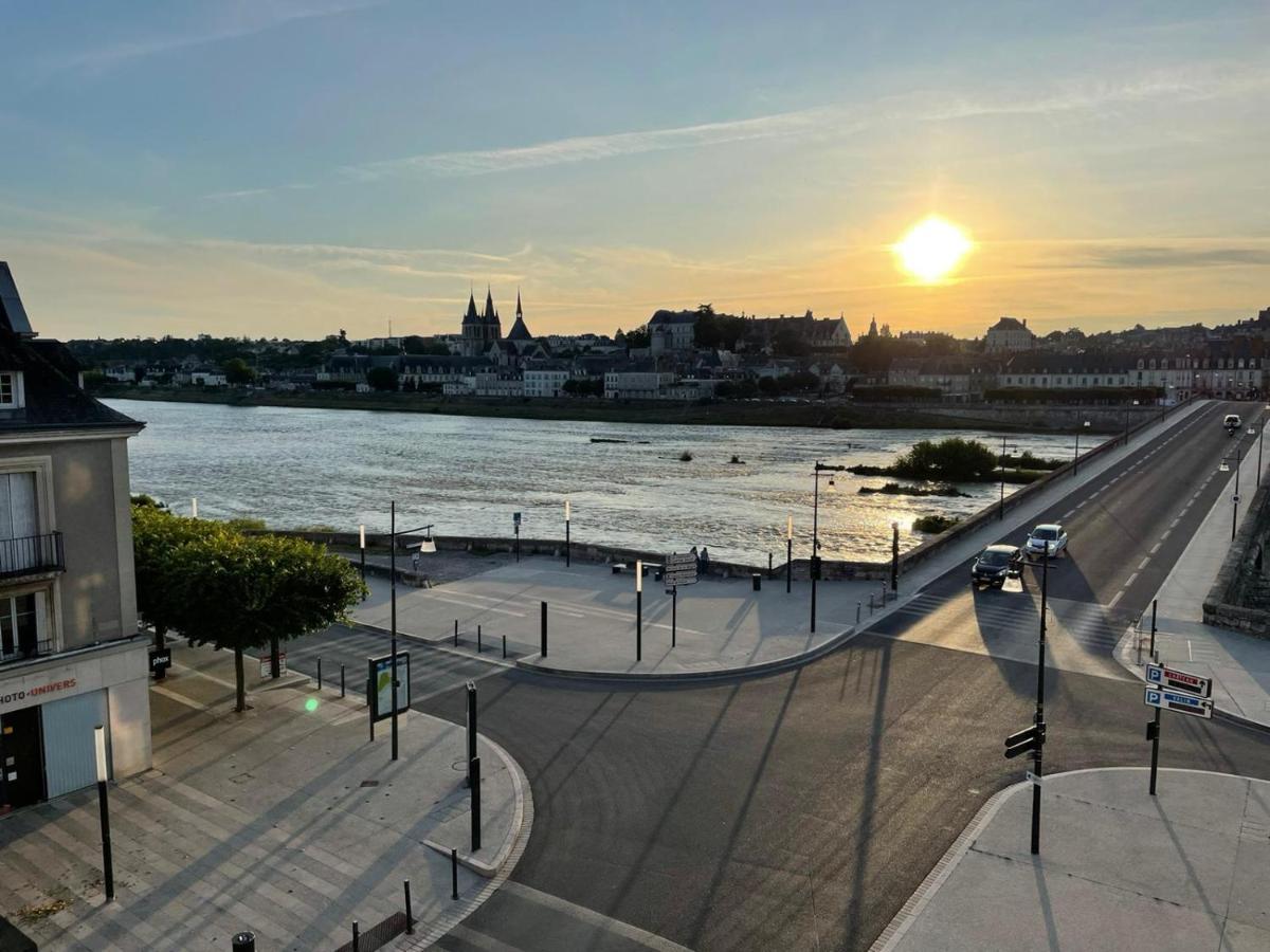 Le Wilson - Vue Imprenable Sur La Loire Et Le Chateau De ブロワ エクステリア 写真