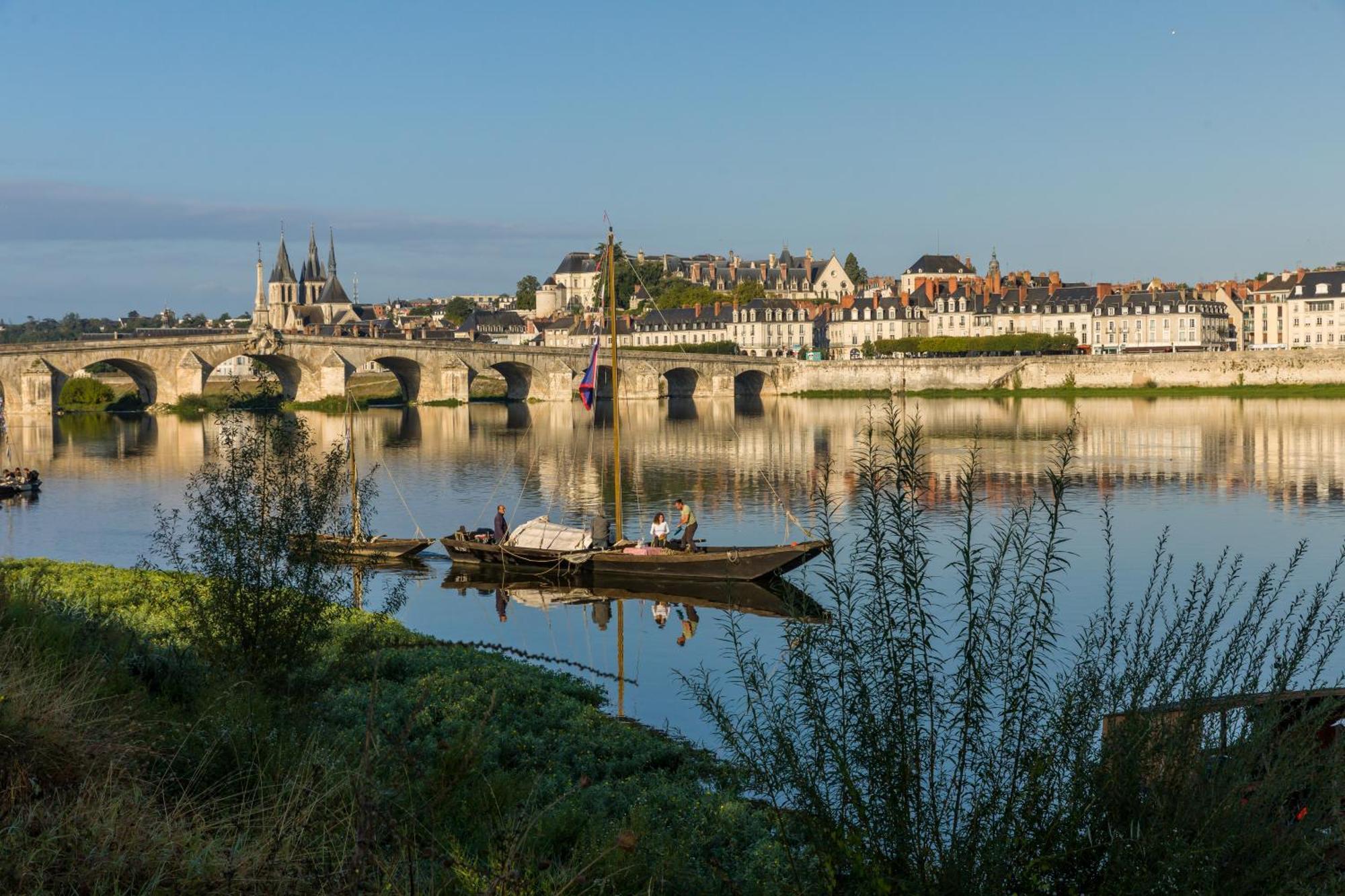Le Wilson - Vue Imprenable Sur La Loire Et Le Chateau De ブロワ エクステリア 写真